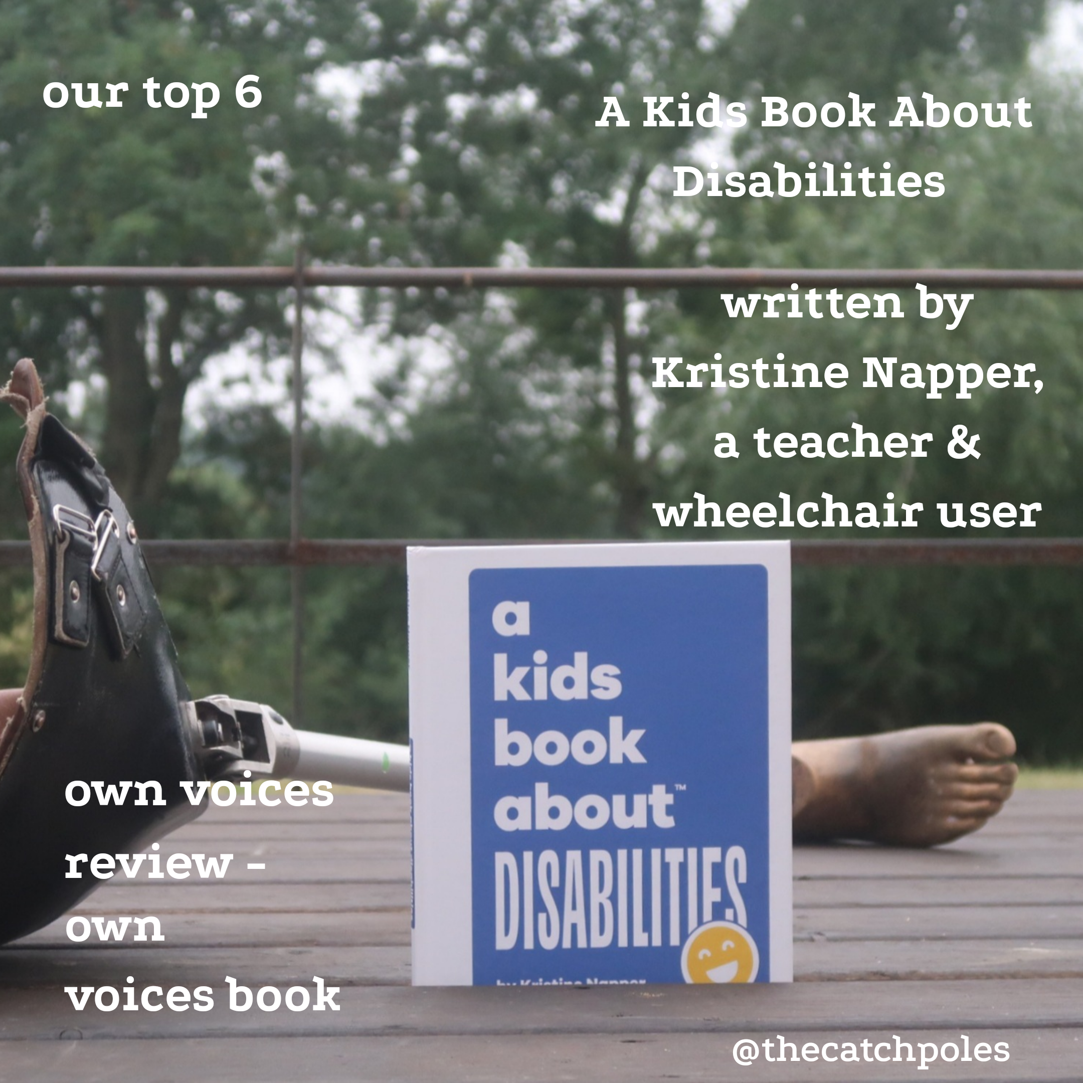 A Kids Book About Disability - Kristine Napper - book portrait