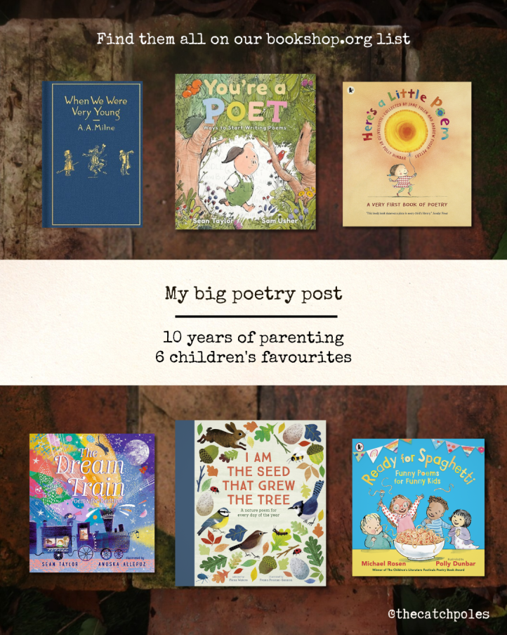A collage of all 6 books - jpg covers on a dark brick background (find the names in the caption).
Our text on cream paper in the middle reads:
‘My big poetry post
10 years of parenting 
6 children's favourites'
And in smaller print: 
‘find them all on our bookshop.org list’
